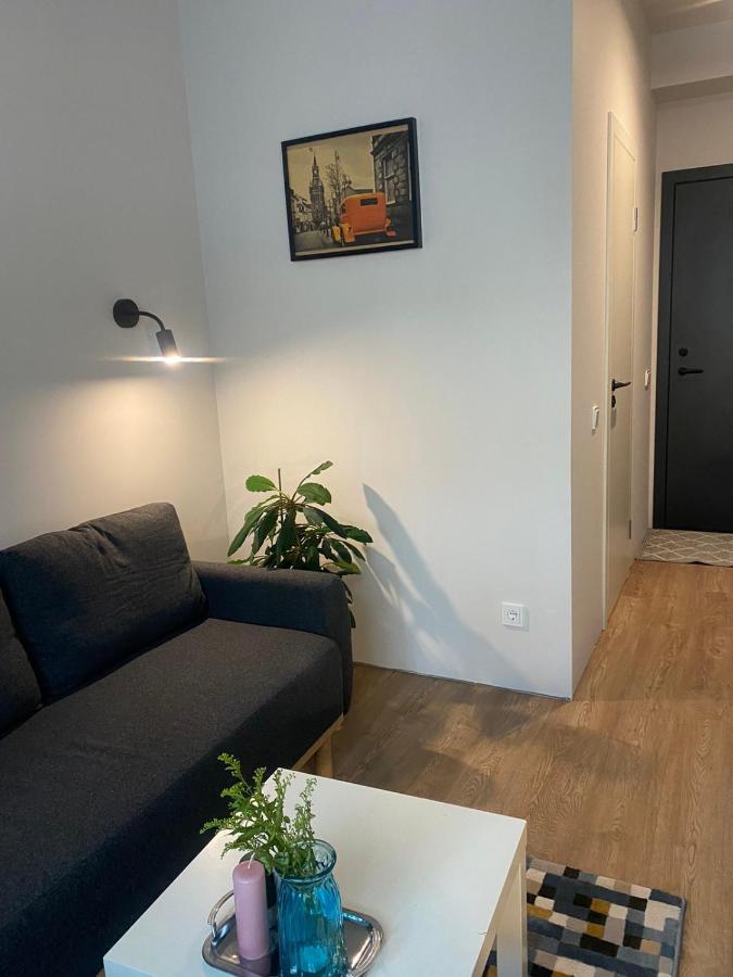 Lovekaunas Apartments ภายนอก รูปภาพ